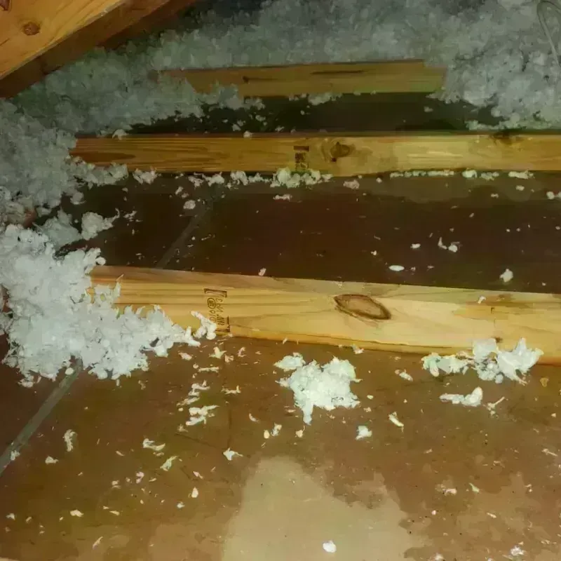 Attic Water Damage in Novato, CA